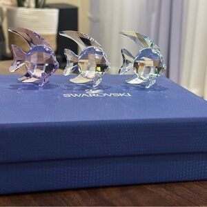 Swarovski • Crystal Angelfish Set - Purple, Clear, Aqua Hues